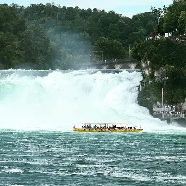 367514144 498833192465393 8478248412163489743 n