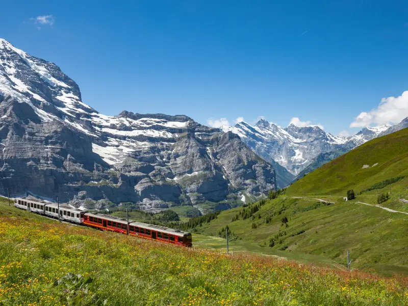 جريندلفالد سويسرا وجهة سياحية فريدة تجمع بين التاريخ والطبيعة الساحرة 4 grindelwald